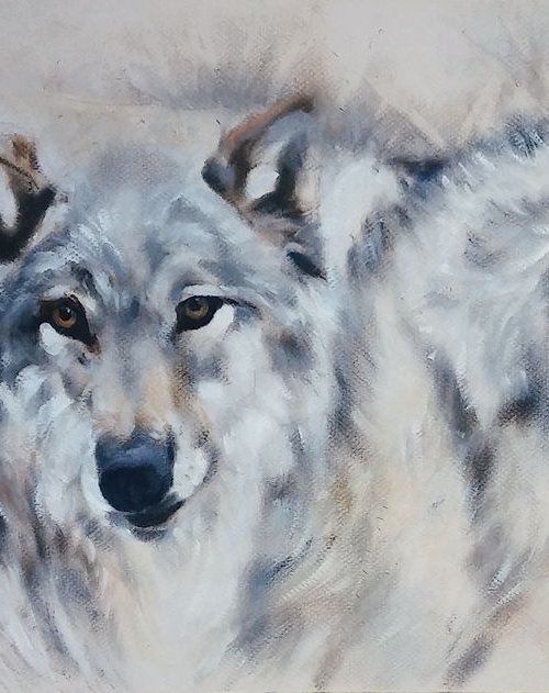 A pair of gray wolves by Magdalena Palega