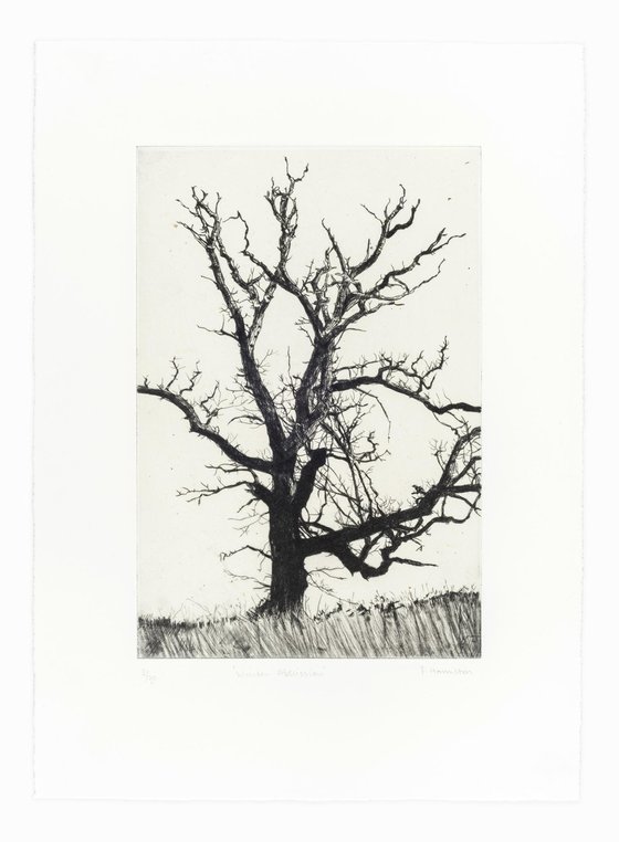 Winter Abscission