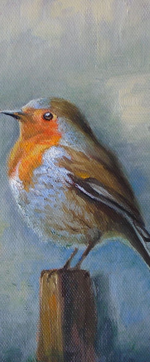Robin redbreast by Michael Mullen