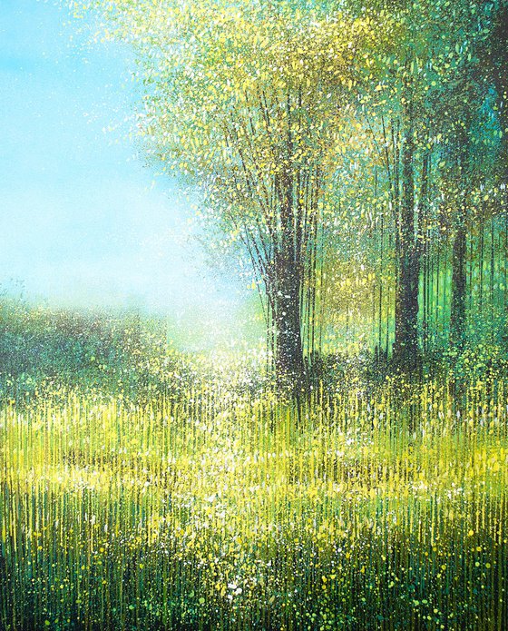 Forest Edge Summer Trees