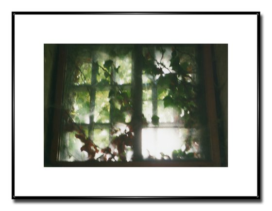 In A Dream State - Unmounted