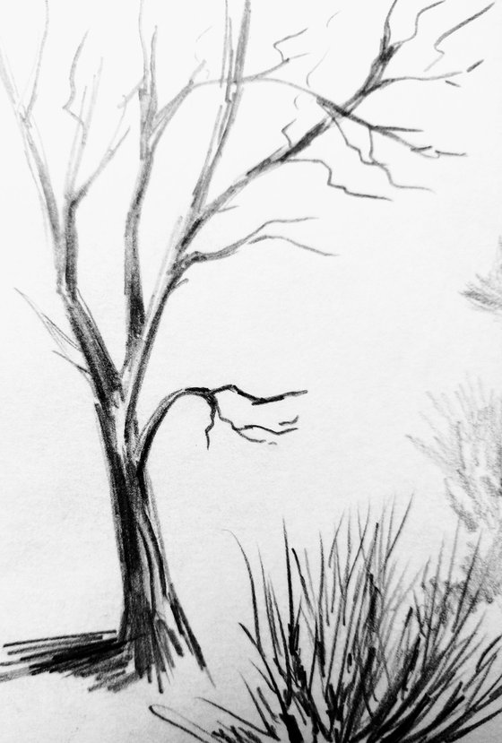 Plein air. Sketch # 5. Original pencil drawing.