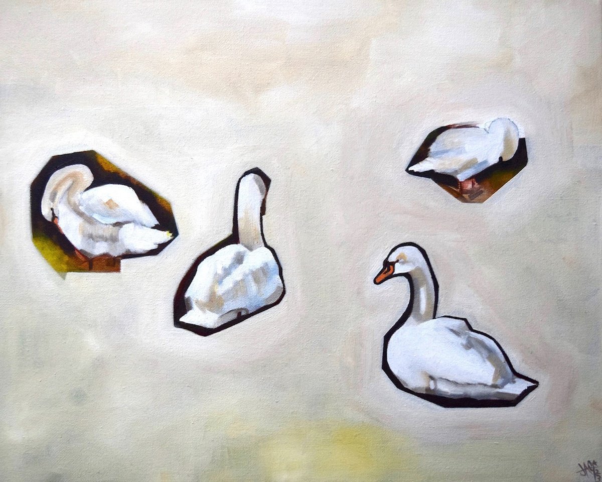 Swan Study by Jem Gooding