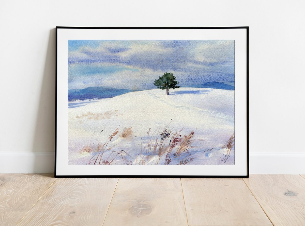 Sunny winter day. Lonely pine tree on a snowy field by SVITLANA LAGUTINA