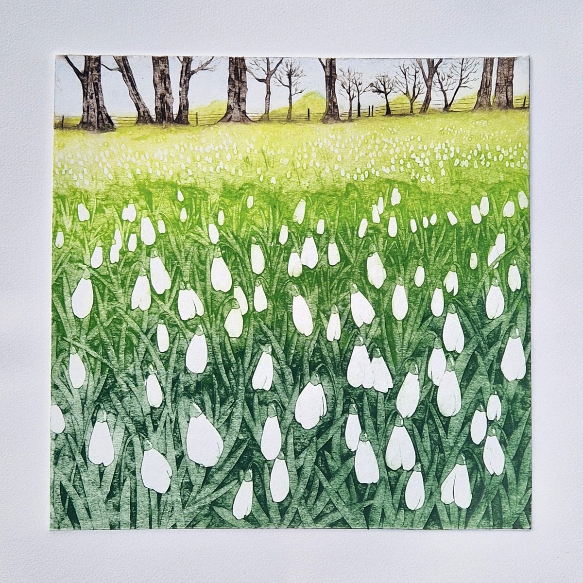 Illustrative Landscape Limited Edition Print By Jo Biggadike, 18 X 18, First Sign Of Spring - Snowdrops, Original Artwork