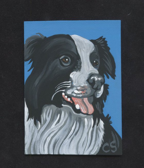 ACEO ATC Original Painting Border Collie Pet Dog Art-Carla Smale