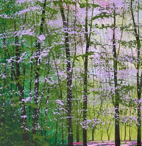 Evergreen Glade
