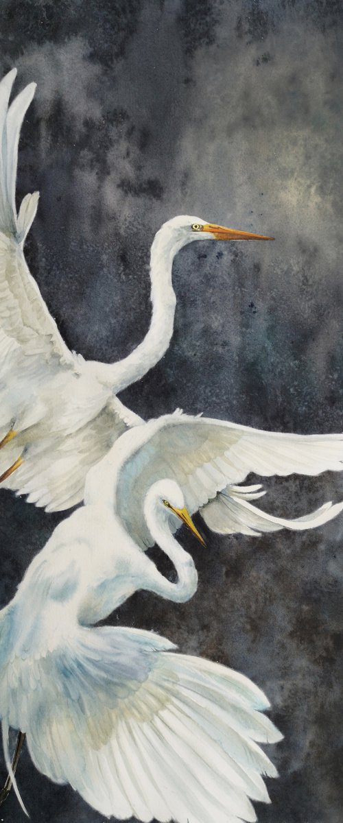 White Egret Pair Flying by Olga Beliaeva Watercolour