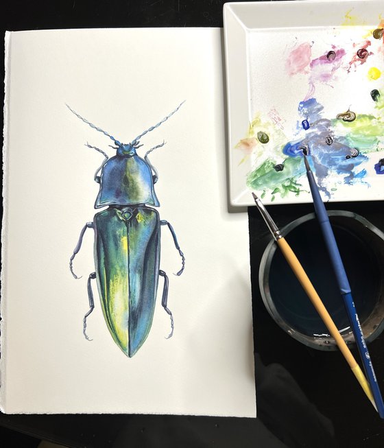 Blue longhorned beetle. Original watercolour artwork.