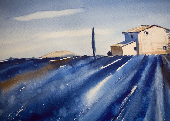 Lavender field in Provence. Color experiment in 2 colours. Medium watercolor pastel drawing bright colors France