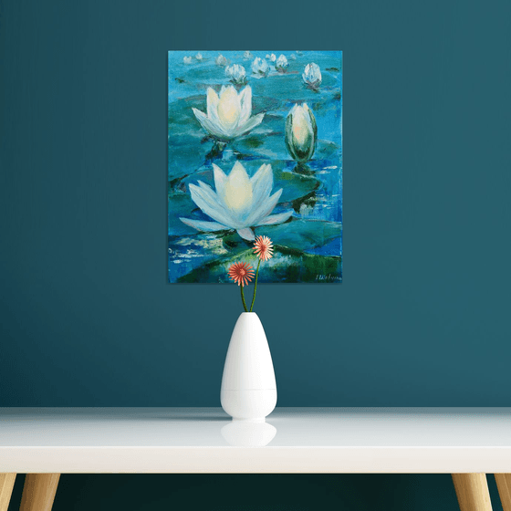 White waterlilies