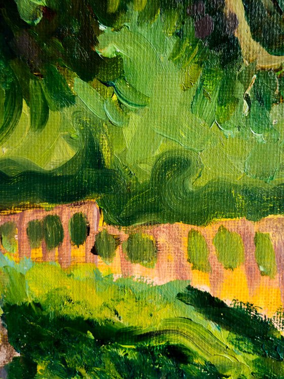 Professor's Patient Gaze