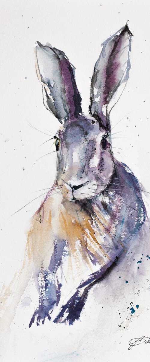Wild Hare by Tomasz Mikutel