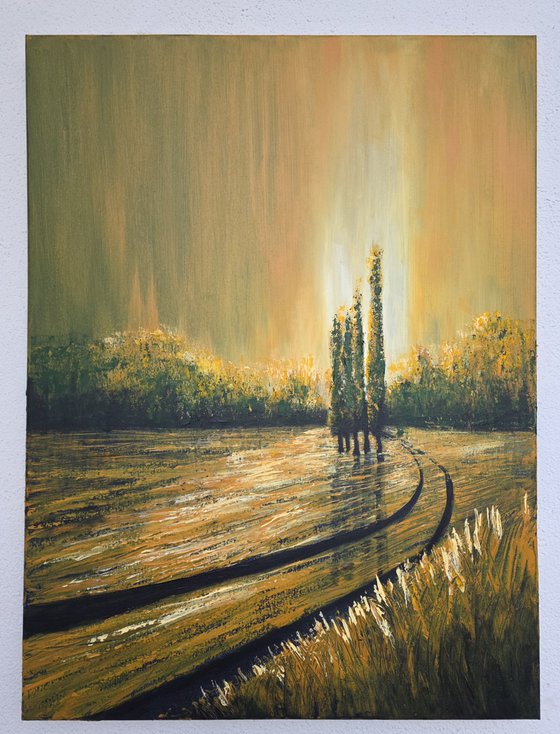 Autumn Illuminations