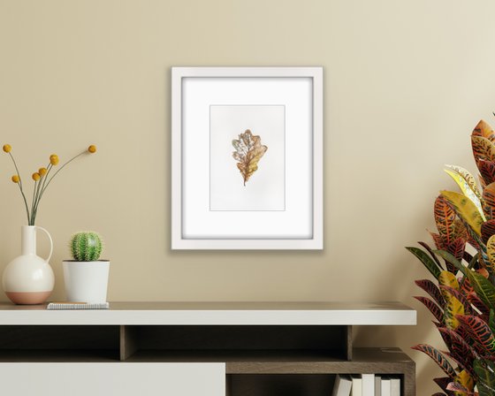 Last dance - oak leaf botanical watercolour illustration.