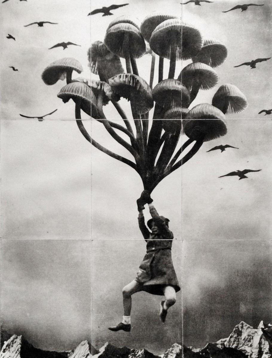Surrealistic Landscape Etchings & Engravings By Jaco Putker, 24 X 33, The Girl And The Mushrooms - Large, Original Artwork