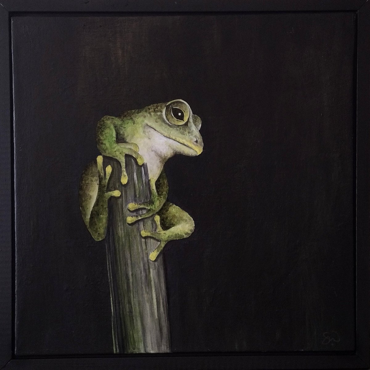 Tree Frog by Sara Westaway