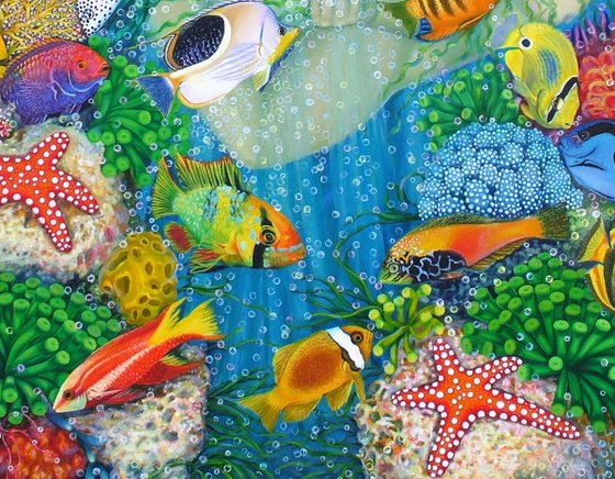 Dream in the Reef