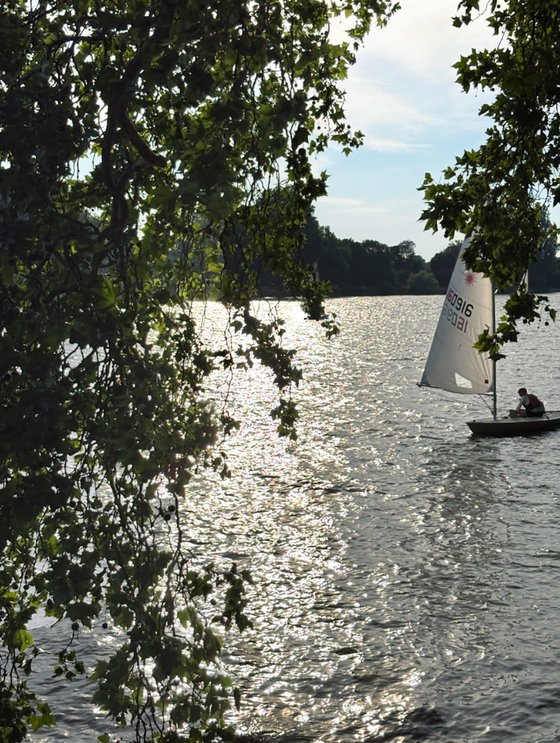 River Thames Shimmer No.1