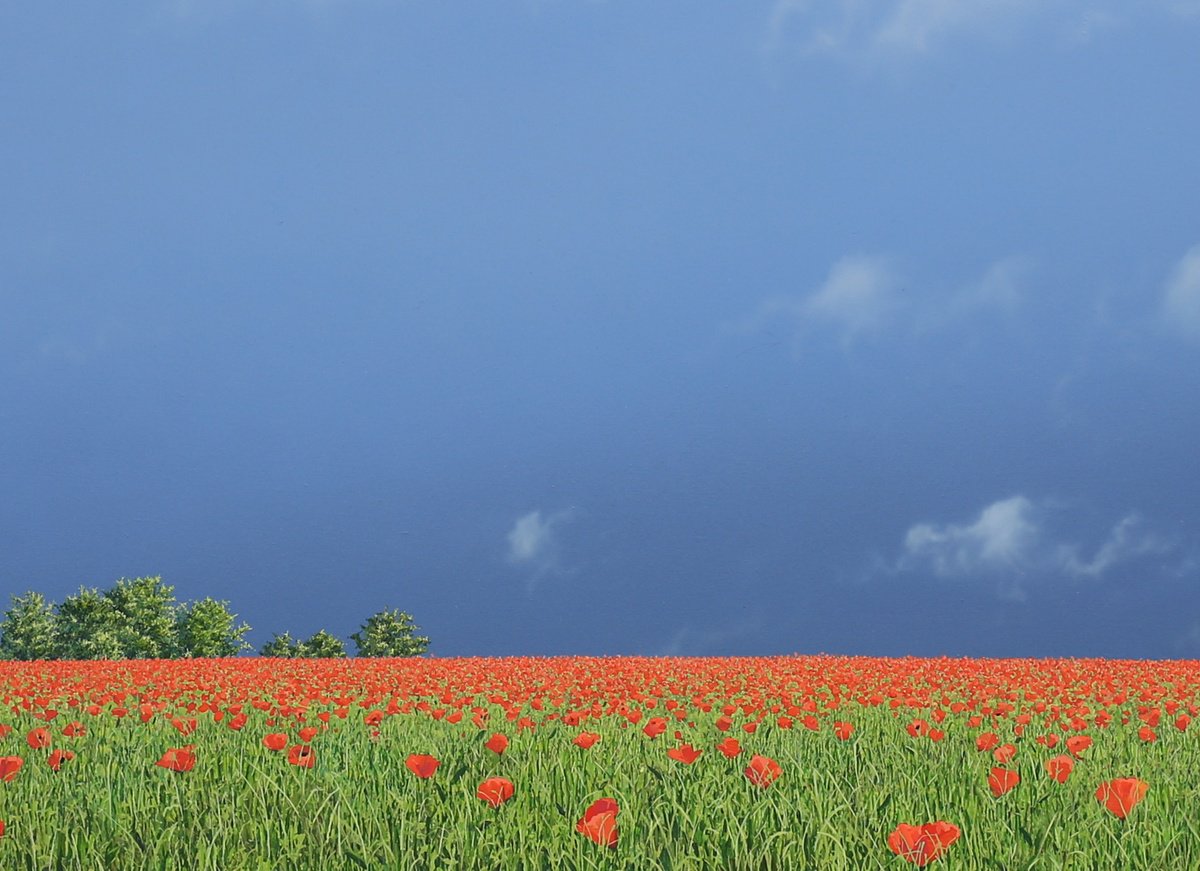 Poppy Meadow by Nigel Wood