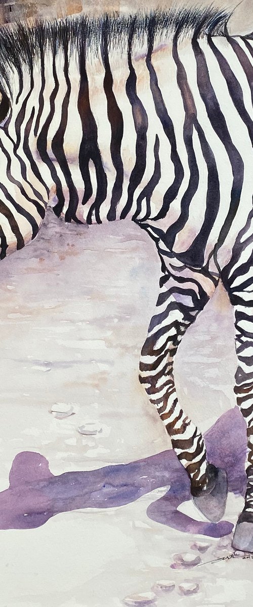 The Wanderer_ Zebra by Arti Chauhan