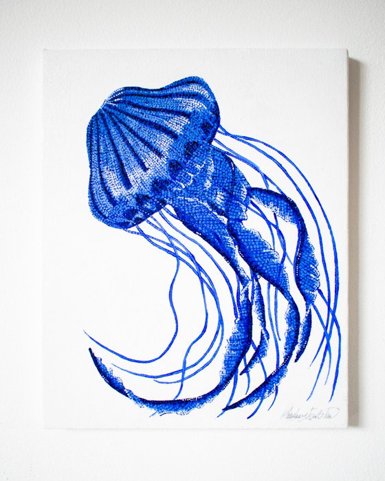 Blue Compass Jellyfish