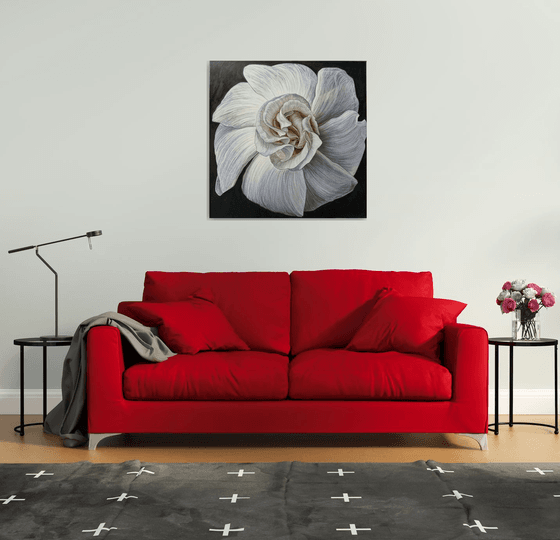 White Camellia Bloom