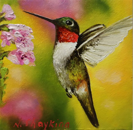 Hummingbird and Pink Blossoms
