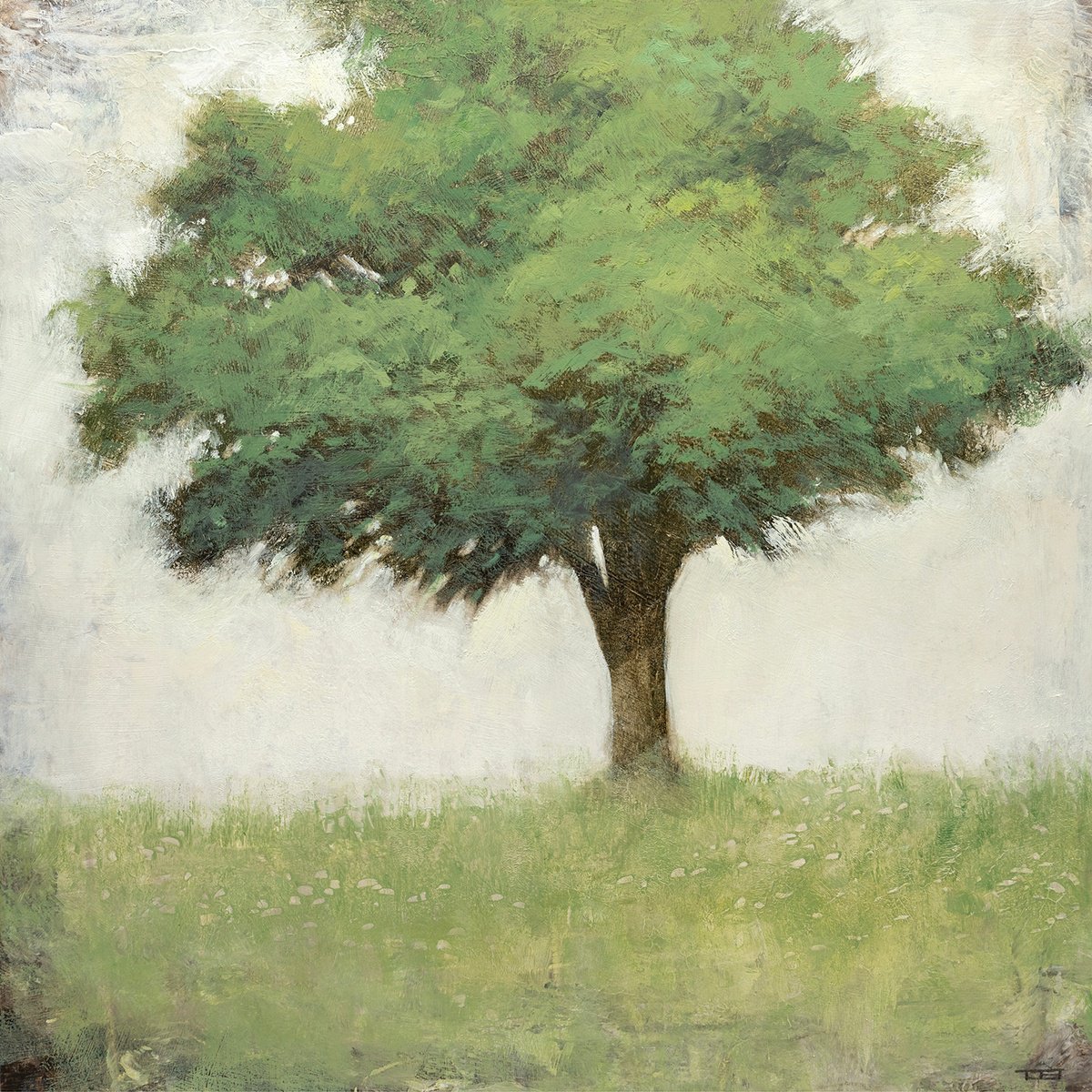 Zen Tree 27 260308 By Don Bishop, 12 X 12, Artwork For Sale On Artfinder