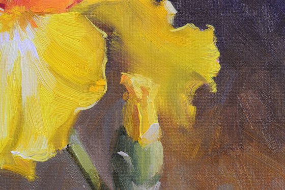 Yellow iris