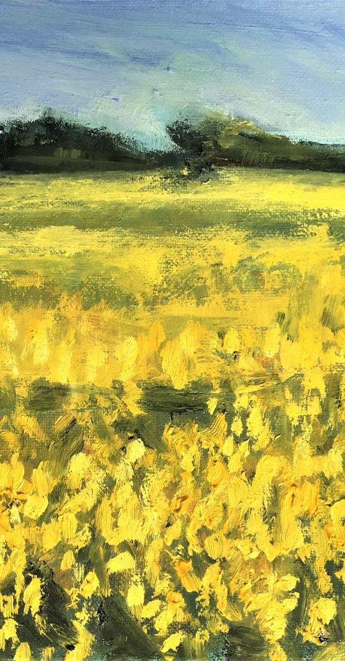 Field of Rapeseed by Nikki Wheeler