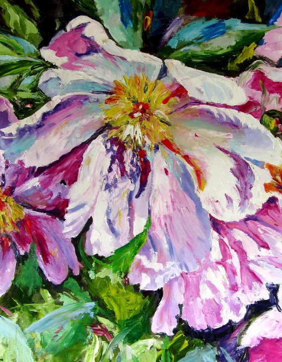 Pink flowers