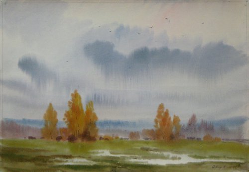 Rainy weather by Valeriy Savenets-1