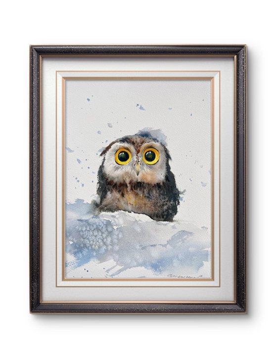 Owlet in a snowdrift