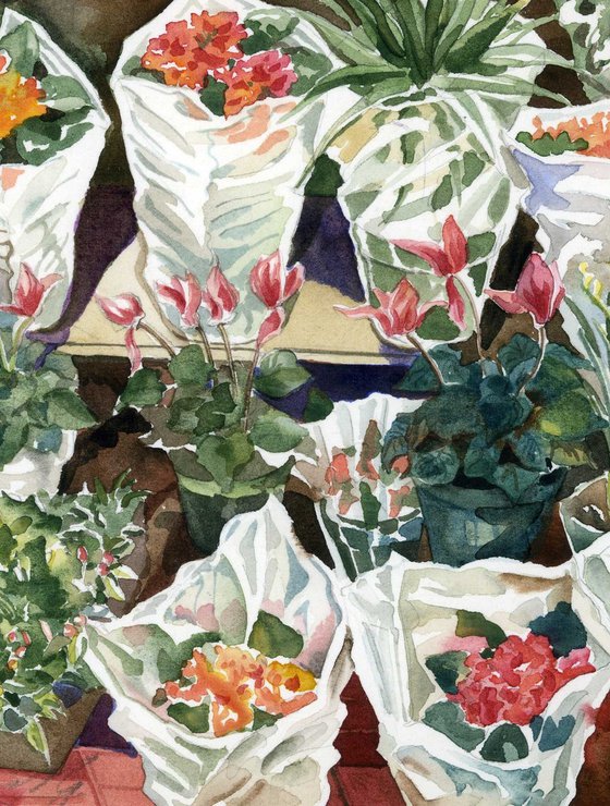 flower market watercolor