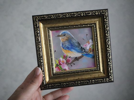 Bird of Happiness. Bluebird