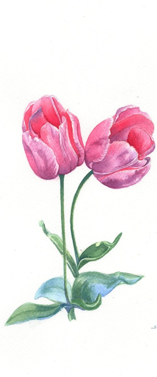 Whispering Tulips by Shweta Mahajan