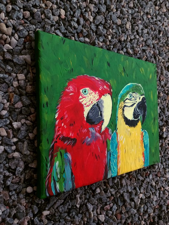 "Macaw couple"
