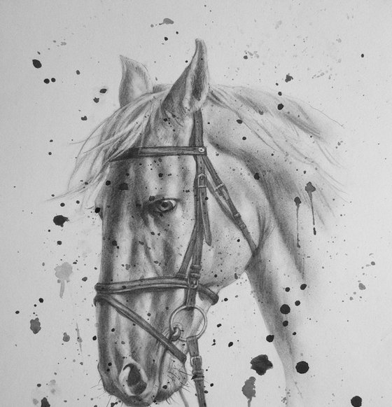 Animal drawing  pencil  horse  #1741