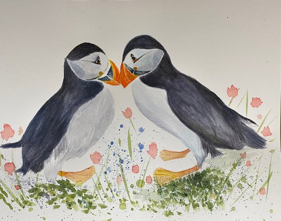 Puffins