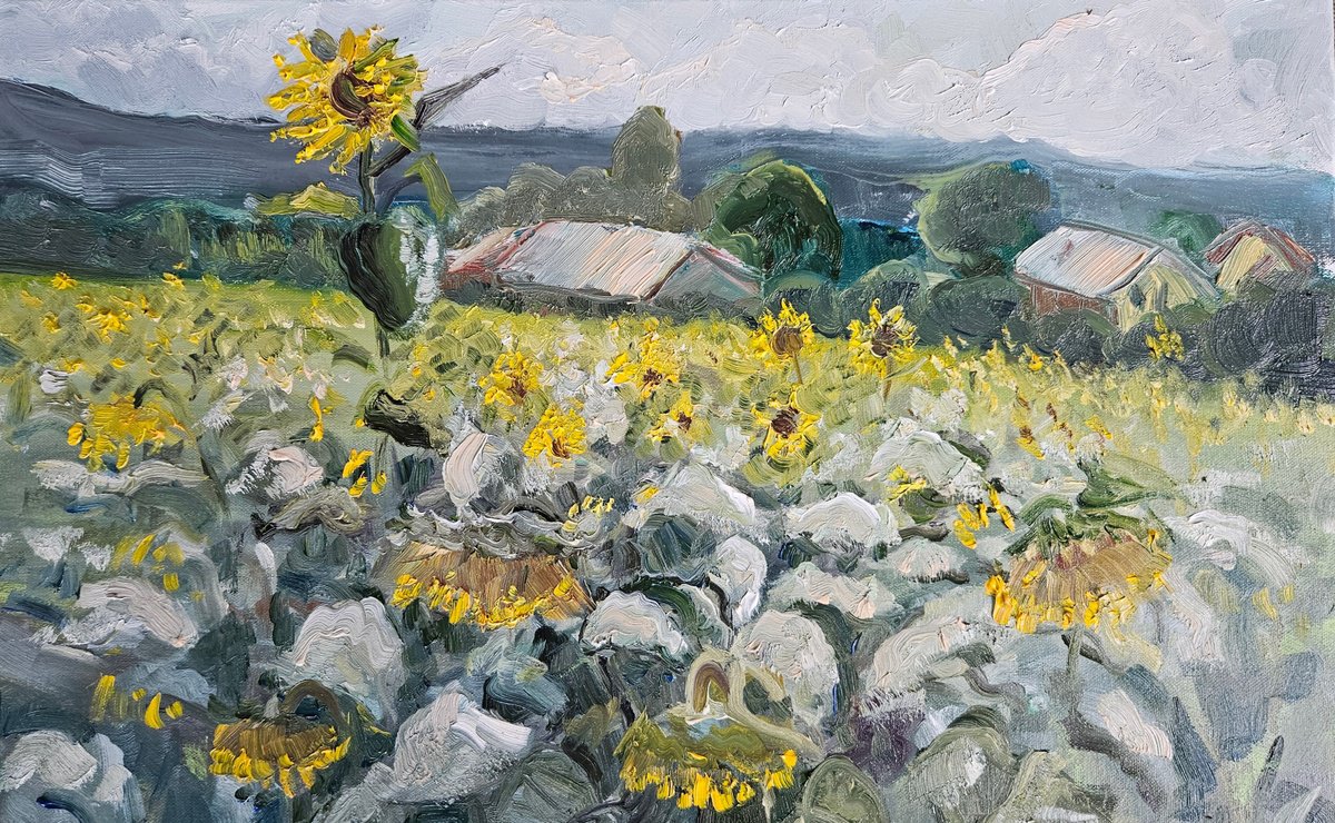 Sunflower By Vera Stein, 24 X 16, Artwork For Sale On Artfinder