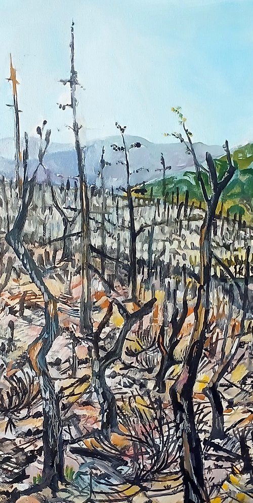 Hearth, Provence by Chris Walker