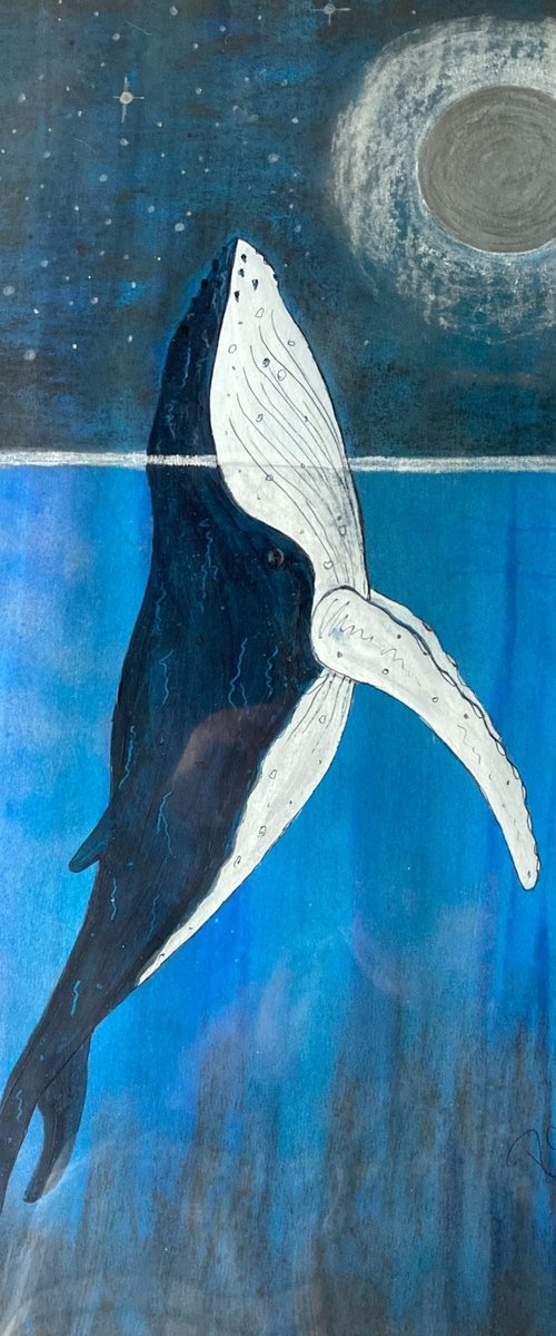 Whale in the Moonlight by Ruth Searle