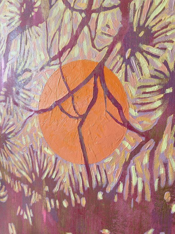 Coniferous Branches at Sunset