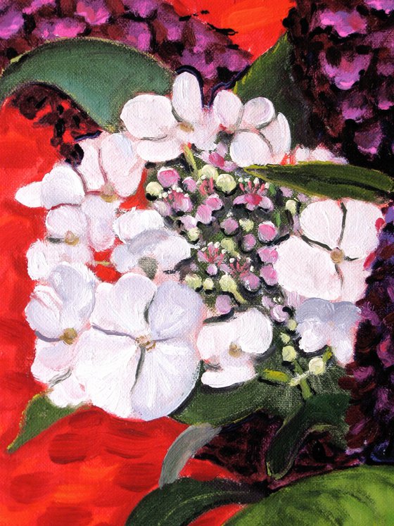 Buddleia and Hydrangea