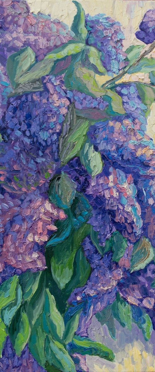 Lilacs by Lilit Vardanyan