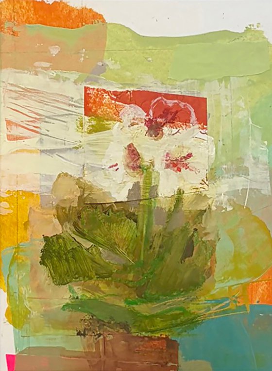 Geranium