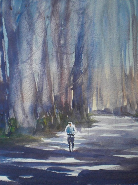 biking in the wood