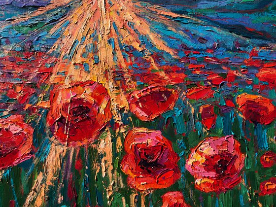 Poppies