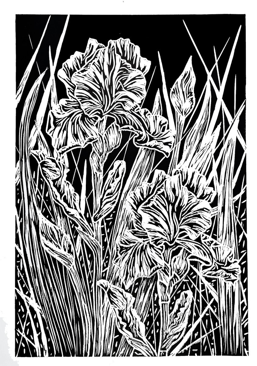 Impressionistic Botanical Linocut By Aneta Gajos, 12 X 17, Irises, Original Artwork